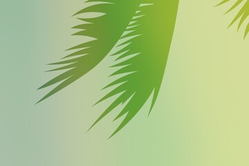 Blur leaf shadow with wall background