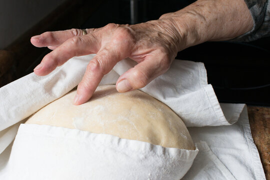 Human hand checking rising of yeast dought