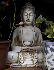 BUDDHA
