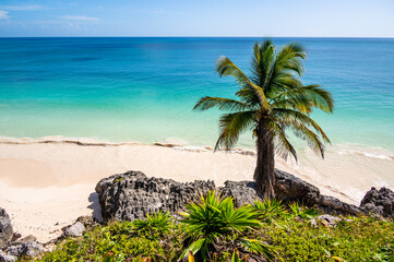 Stunning Caribbean beach near Tulum ruins in Mexico