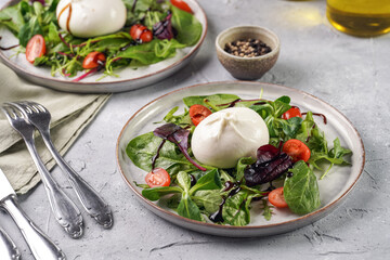 Plates with arugula and spinach salad with fresh cherry tomatoes and italian fresh cheese burrata with balsamic vinegar dressing on a light grey concrete background