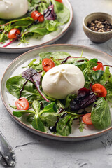 Plates with arugula and spinach salad with fresh cherry tomatoes and italian fresh cheese burrata with balsamic vinegar dressing on a light grey concrete background