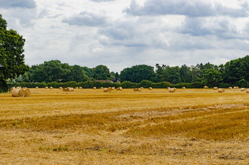 Obraz premium Getreidefeld nach der Ernte mit Strohballen
