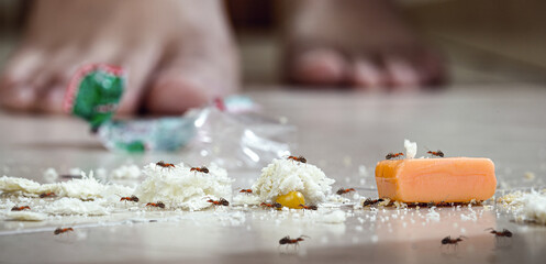 dirt on the floor with insects around, ants in the garbage of an unhygienic house, front view, pinpoint focus,
