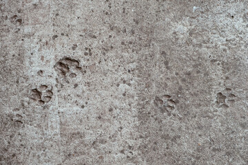 Concrete cement background