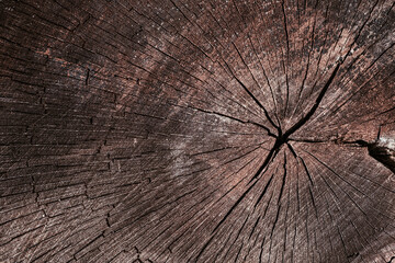 Heartwood cut Background