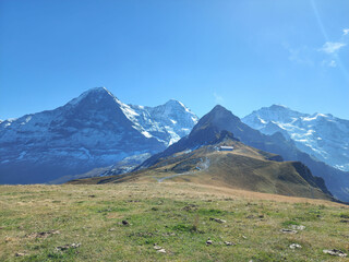Fototapeta premium Snow mountain view with green meadow and blue sky
