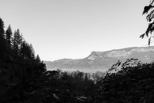 Black and white view of the Columbia river and Multnomah Falls bar range from behind tall trees along the Multnomah Falls Trail Switchback hike