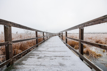 Wide angle view of a boardwalk through marshland frozen over after an ice storm
