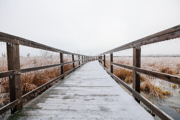 Obraz premium Wide angle view of a boardwalk through marshland frozen over after an ice storm
