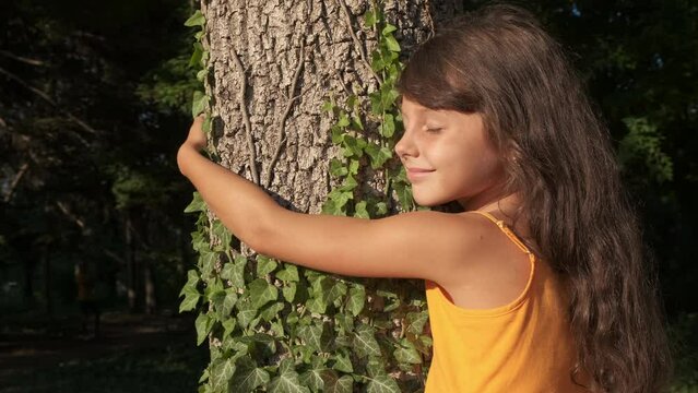 Child connecting with tree among wood. A nice girl with love embrace the oak tree in the forest. A concept of feeling the connection with nature and greenary concept.