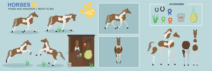 Brown and white Horse ready to animate with multiple poses accessories. Vector file labelled ready to rig. Horse riding, horse jumping, horses playing.	