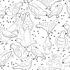 pattern with doves on white