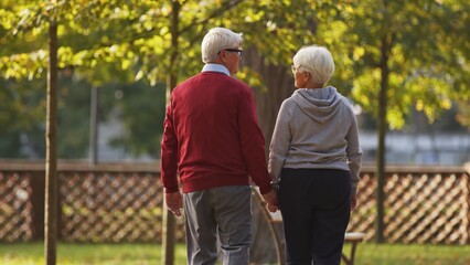Back view of loving old man and woman holding hands in the park . High quality photo