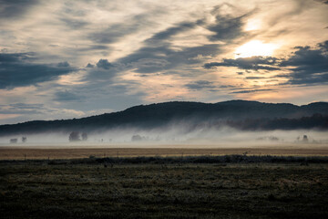 Fototapeta premium A morning mist rises over farmland in Oka Quebec at sunrise