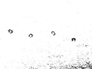 Vector grunge texture of cat paw prints on snow with rough grains. Texture overlay, stencil in grunge style. Design element