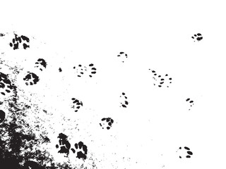 Vector grunge texture of a large number of cat paw prints on the snow. Texture overlay, stencil in grunge style. Design element © Life Background