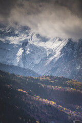 autumn landscape in the mountains against the backdrop of a snowy mountain