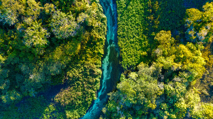 rio sucuri bonito mato grosso do sul brasil