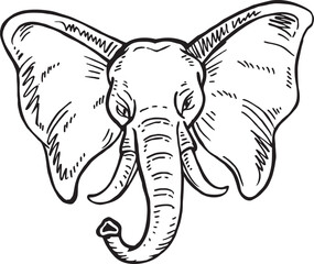 elephant head mascot, vector illustration
