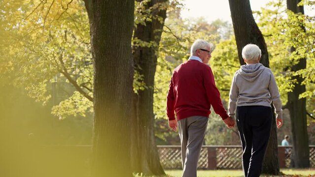 Back view of grey-haired senior couple strolling through the park . High quality 4k footage