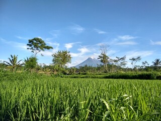 MERAPI MOUNTAIN