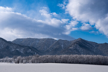 冬の晴れた日の雲の浮かぶ青空、山を背景にした雪に覆われた野と霜で白くなった木々。