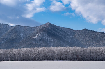 冬の晴れた日の雲の浮かぶ青空、山を背景にした雪に覆われた野と霜で白くなった木々。