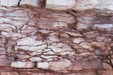 Stone texture and background. Sedimentary rocks. Natural corrugated stone schistous, background