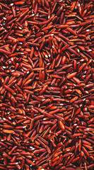 Wild raw red rice groats, food background texture, top view vertical banner