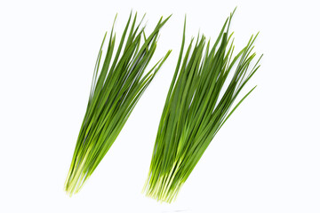 Fresh Chinese Chive leaves on white background.