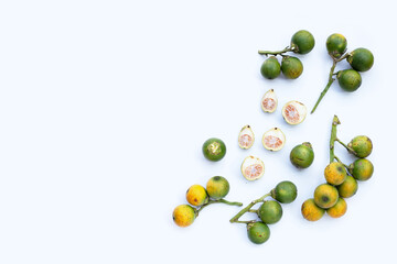 Betel nuts on white background.