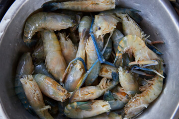 Fresh black tiger shrimps preparing for cooking 