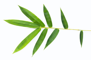 Naklejka premium Bamboo leaf. Fresh green leaves on white background.