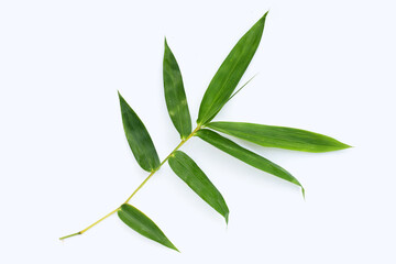 Bamboo leaf. Fresh green leaves on white background.