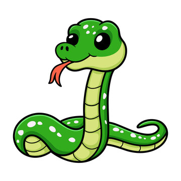 Cute green tree python cartoon