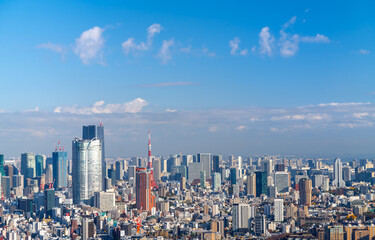 Fototapeta premium 東京風景 Dec.2022 