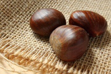 Obraz premium Fresh Portuguese chestnut on table