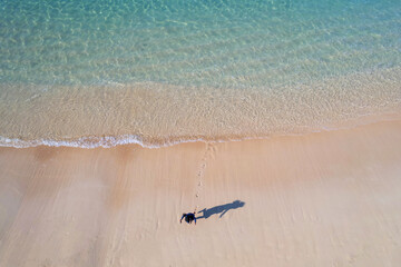 Drone view of girl and her shadow playing at a crystal clear beach