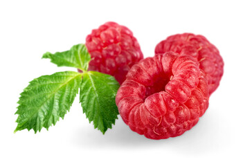 Ripe red raspberry with leaf