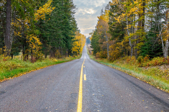 country road surrounded by fall foliage in northwest Montana