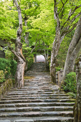 The stairway and shrine gate of Jakkob-In temple.   Kyoto Japan
