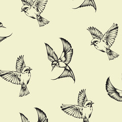 set of birds