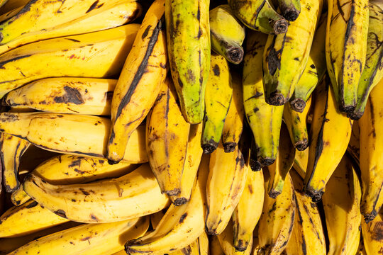 fresh banana in traditional colombian market