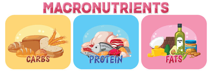 Macronutrients diagram with food ingredients