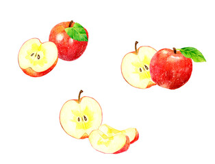 赤い蜜入りりんごのセット　フルーツの手描き水彩イラスト素材集
