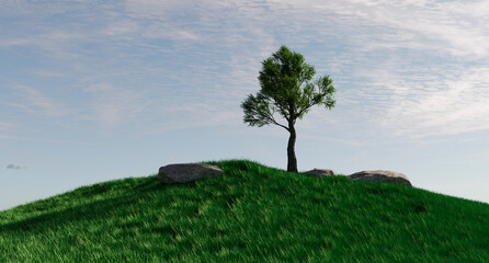 Lone Tree on grass hill