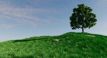 Fototapeta na wymiar Lone Tree on grass hill