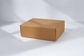 Empty cardboard Box with window shadow