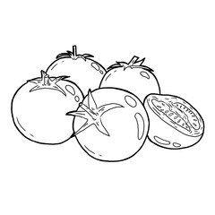 Fresh Vegetables Illustration